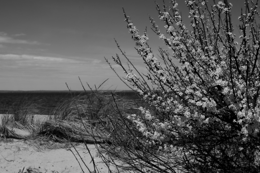 2012 04 17 0083ebw